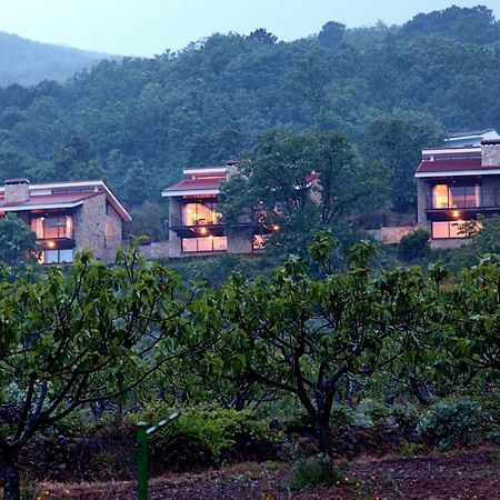 Las Casas De Agapito 波亚莱斯－德尔奥约 外观 照片